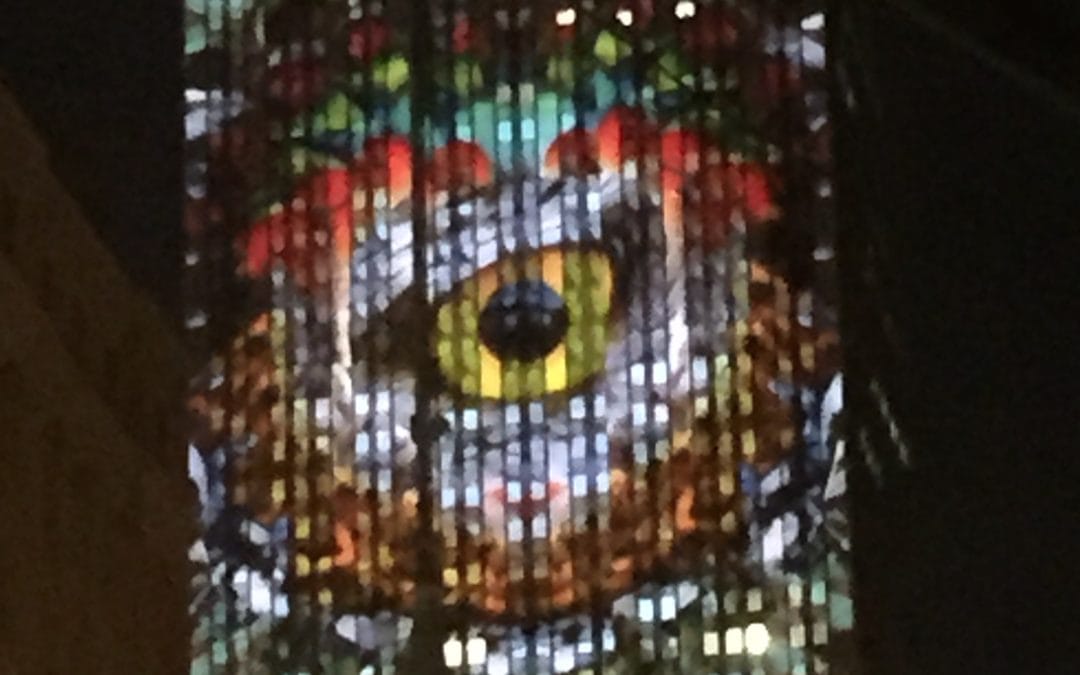 It’s Time to Raise Your Voices. What’s the Big Secret About Animal Conservation?