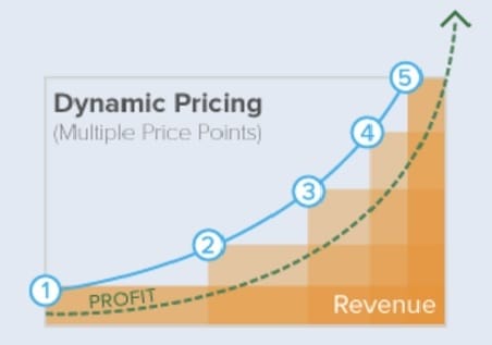 Is Dynamic Pricing the Future of Zoos and Aquariums?
