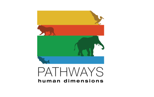 Lessons Learned Along A Pathway to Leadership