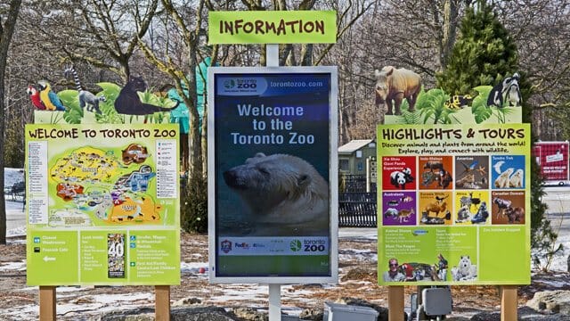 Using Technology as an Engagement Tool for Guests