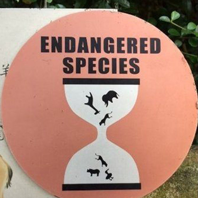 World Biodiversity Day: The Hourglass is Running Out