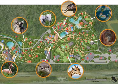 Central Florida Zoo master plan