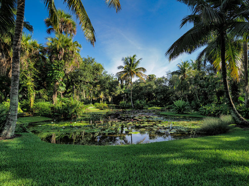 Rooted in Legacy, Cultivating the Future: Strategic Business Planning at McKee Botanical Garden