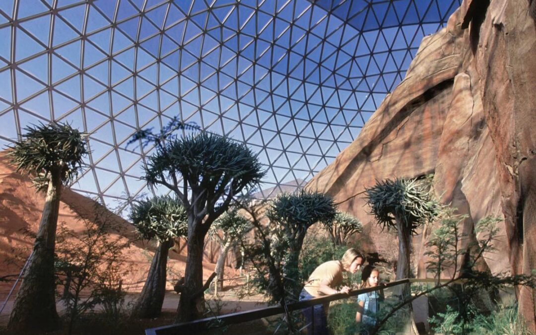 Navigating a Pivotal Leadership Transition: Strengthening Cohesion and Culture at Omaha’s Henry Doorly Zoo and Aquarium