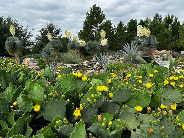 Holiday Light Shows, Capital Planning & Financial Strategy: Insights from the 2026 APGA Finance & Operations Symposium